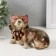 Polystone souvenir "Dog in the toad and in the Venetian mask" 16.5x12.5x13.5 cm