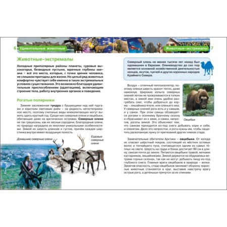 Children's Encyclopedia "Amazing Animals"-2