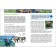 Children's Encyclopedia "Amazing Animals"