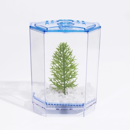 Aquarium desktop, with soil and plant-1