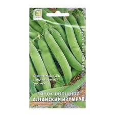 Seed peas of the vegetable 