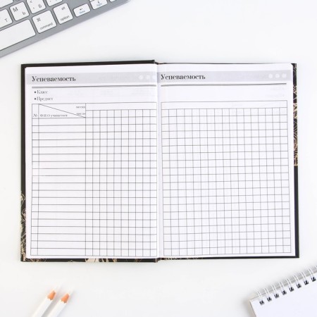 Set "Golden Teacher": A5 diary A5 160 sheets, planing 50 sheets and pen Plastic-9