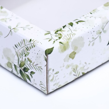 Box cover is “green plants”, with a window, 18 x 15 x 5 cm-3