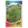 Flowers of Kochiy Freight "Green Forest", oh, 0.2 g Series Hit X3