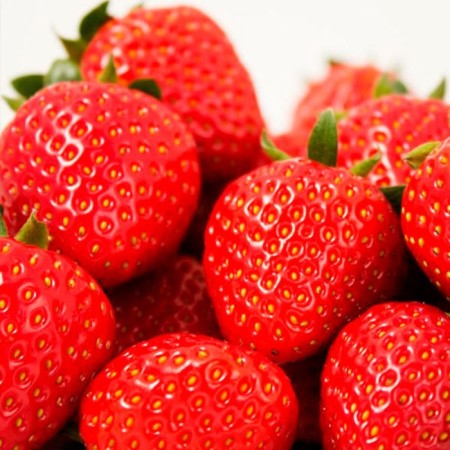 Strawberry seedlings of a frigo piercinic (pircinque) a (9-15 mm), 5 pcs