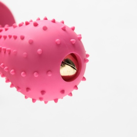 Chewing toy "Dummage for the baby", TPR, 14.5 cm, pink-4
