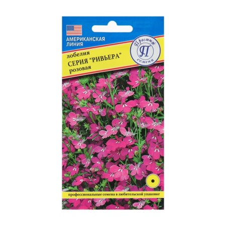 Club flower seeds bush "Riviera" pink, oh, multidorege 5 pcs