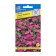 Club flower seeds bush "Riviera" pink, oh, multidorege 5 pcs