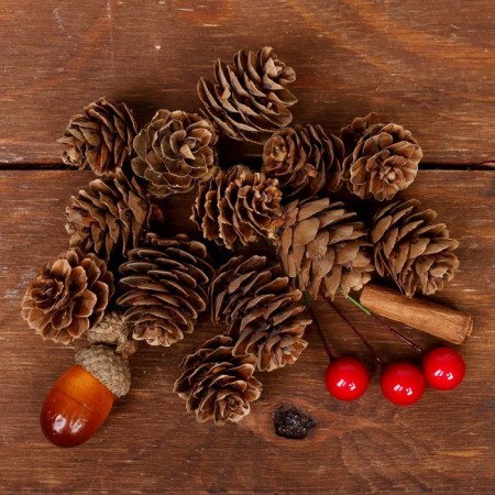 Set of New Year's decor "Spicy cones"-1