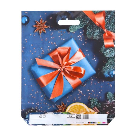 Package "Gift with oranges", polyethylene with a cut pen, 47.5x39 cm, 60 μm-1
