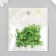 Beads for creativity Plastic "Busin Hat" set 50 pcs Transparent green 0.4x1x1 cm