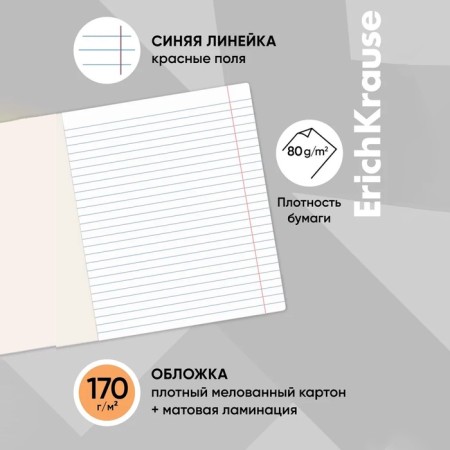 Notebook 24 sheets in a ruler, erichkrause "fineline", cover covering cardboard, matte lamination, an offset block 100% whiteness, mix-11