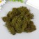 Moss stabilized "nettle" 45 grams (+-5 gr)