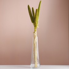 Set of dried flowers 
