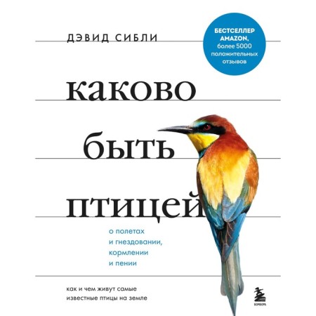 What is the bird: about flights and nesting, feeding and singing. How and what the most famous birds live on earth
