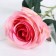 Artificial flower "Rosa Leticia" 7x64 cm, pink mix