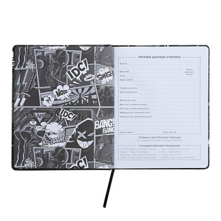 Universal Diary Grade 1-11, 48 sheets "Buntar spirit", a solid cover of artificial leather, lies, universal cheat sheet, block 80 g/m2-3
