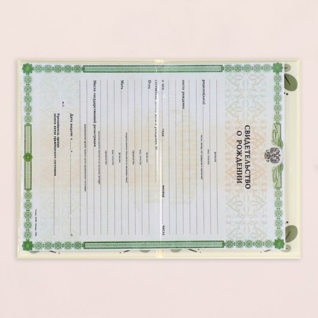 Folder for the birth certificate "Bear" branches, a5-4