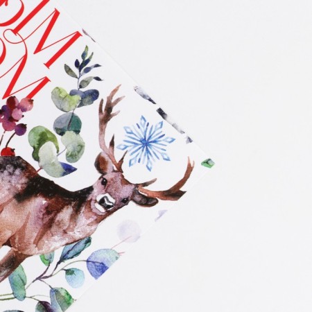 Paper Packe Glossy "Forest Tale", 70 x 100 cm, New Year-3