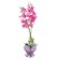 Night -sided "Orchid" 18XLED 4000K pink 20x20x60cm Risalux