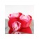 Soap roses, three -color, set of 3 pcs.