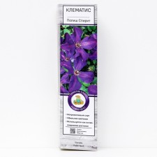 Clematis large -flowered 