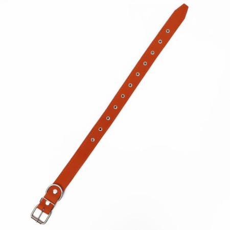 Leather collar on synthetic winterizer, dimensionless, 71 x 3.5 cm, Osh 29-62 cm, orange-2