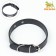 A collar made of artificial leather with a wool for engraving, 2.5 x 52 cm, Osh 35-45 cm, black