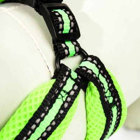 The ammunition set is soft, reflective, leash 120 x 1.5 cm, Osh 35-53 cm, yellow-4