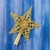 Tip "star" relief pattern, 14.5x16.5 cm, gold