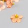 A bud on the leg for decorating "Pink buttercup" d = 2 cm