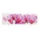 Bath screen "Ultra Light art" Wild orchid, 148 cm