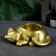 Cat Clobberry Golden Gold, 11x7x3cm