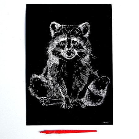 Engraving on the “raccoon” substrate with the metallic effect “silver” A4-2