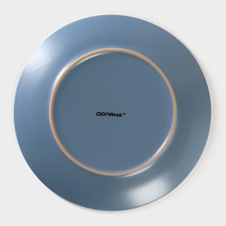 Board ceramic dinner shade "Vanilla", d = 27 cm, blue color-3