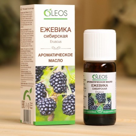 Aromatic oil "Siberian blackberry" 10 ml OLOS