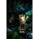 SHUNGA massage oil romance "Strawberries and champagne" exciting, 240 ml