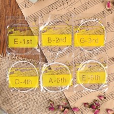 Stan set for an acoustic guitar, 6pcs, .28 .35 .6 .8 1 1.25, steel, copper winding