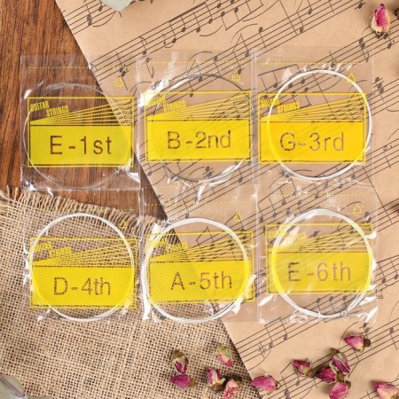 Stan set for an acoustic guitar, 6pcs,.28.35.6.8 1 1.25, steel, copper winding