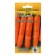 Carrots "Nandrin", F1, 150 pcs.