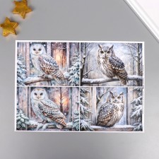 Decoupage map 