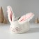 Pig a piggy bank Ceramics "Blood rabbit with soft ears" 8.8x13.2x7 cm