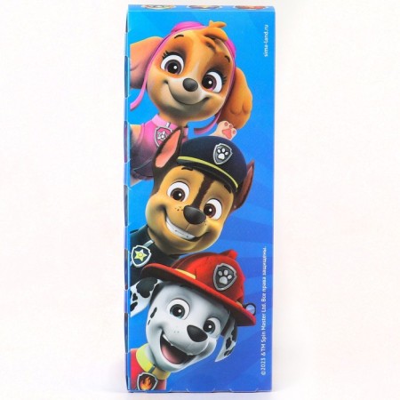 Penal-football Plastic, 75x195x25 mm, assembly, puppy patrol-4