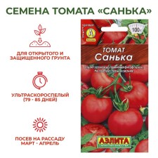 Seeds Tomat 