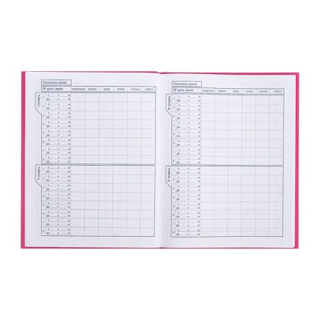 Universal diary for grades 1-11 "Bunny Mi", hard cover, matte lamination, 40 sheets-4