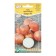 Semen onion Esaul F1, 0.3 g