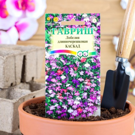 Lobelia flowers "cascade", ampel, o, mixture 0.01 g