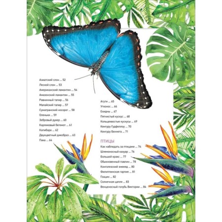 Encyclopedia "Amazing Animals"-2