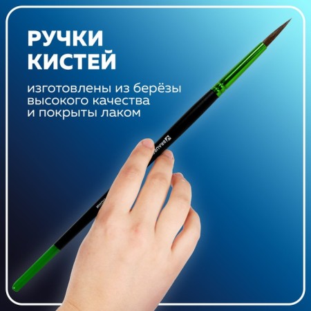Набор кистей Пони 5 штук, BRAUBERG PREMIUM, круглые № 1, 2, 3, 4, 5-11