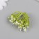Artificial plant for creativity "Vyzhel" set of 12 pcs 3.8 cm